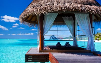 Why is Lake Malawi so Special?